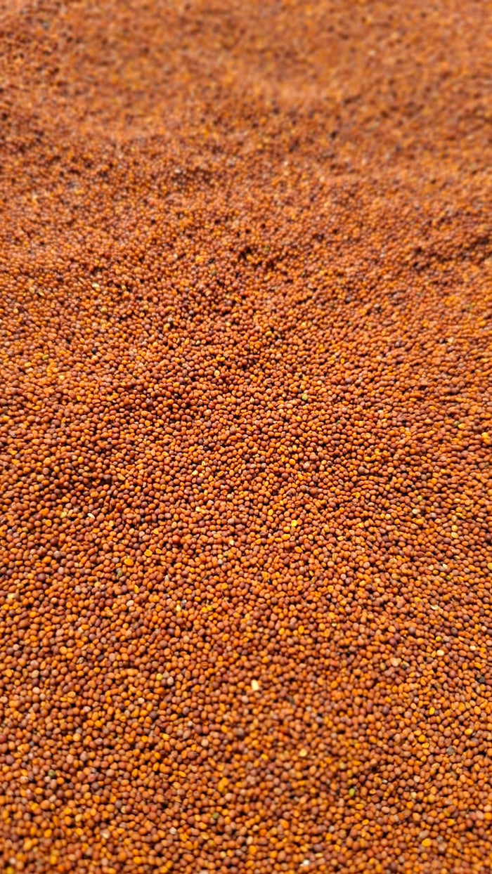 Mustard