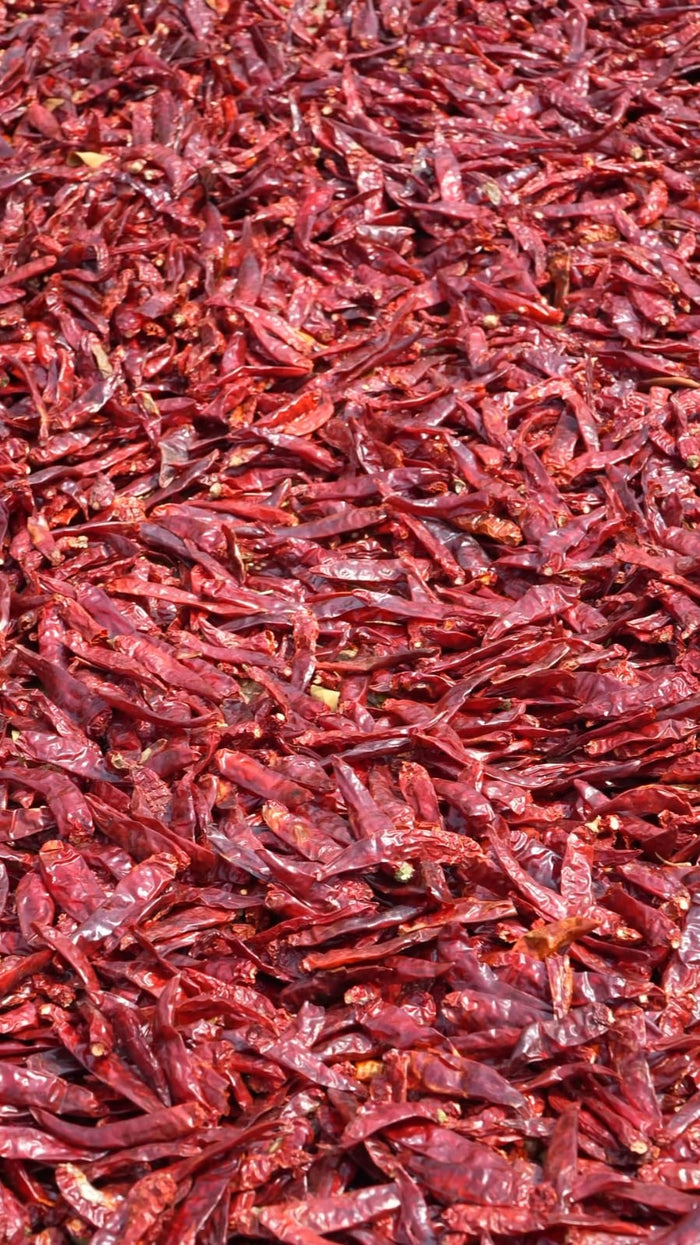 Guntur Chillies